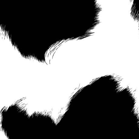 MINKY PRINTS             